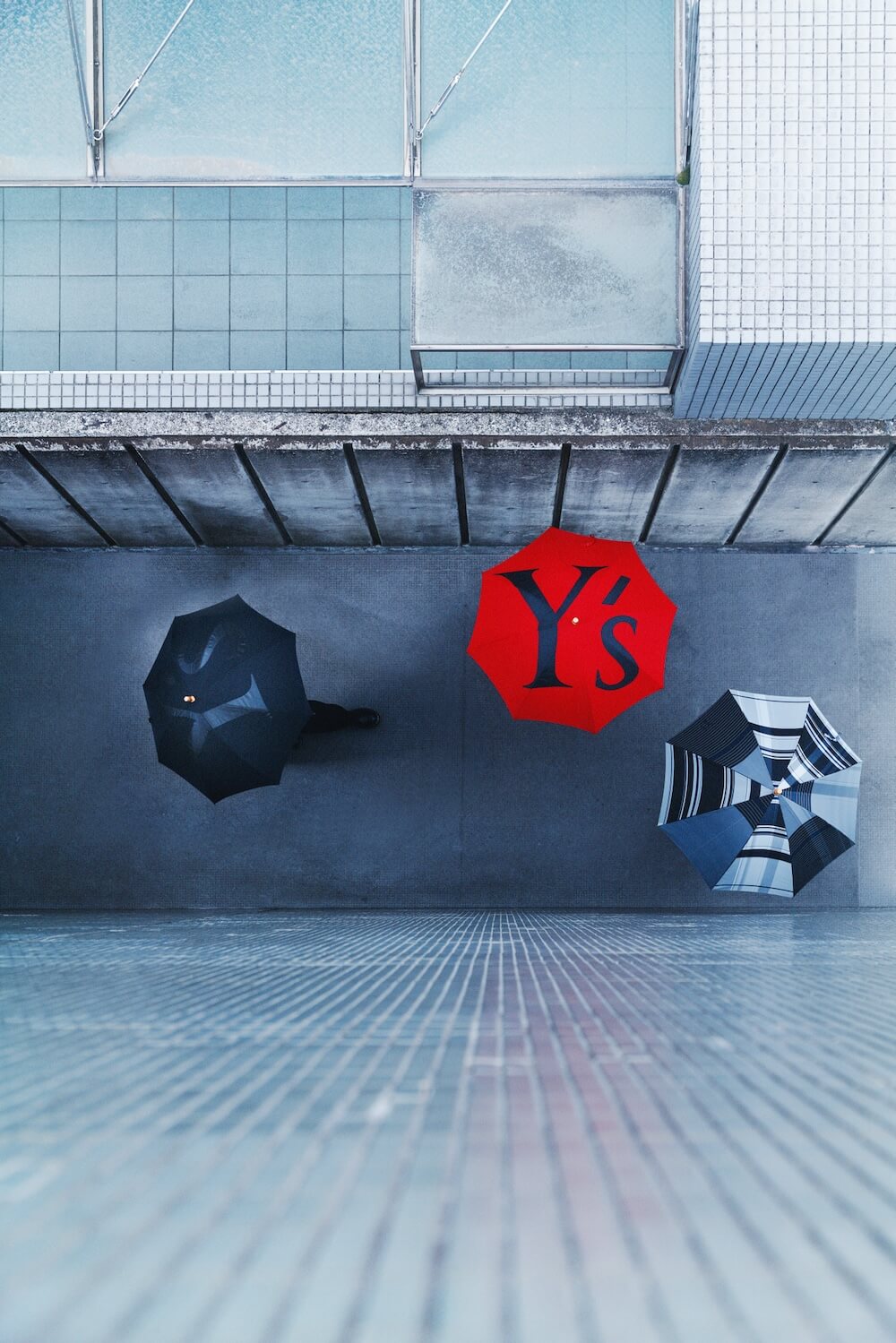 Y's COLLECTION
