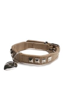 discord Yohji Yamamoto HUNTER Dog collar