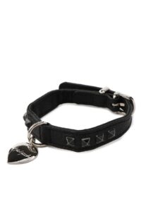 discord Yohji Yamamoto HUNTER Dog collar