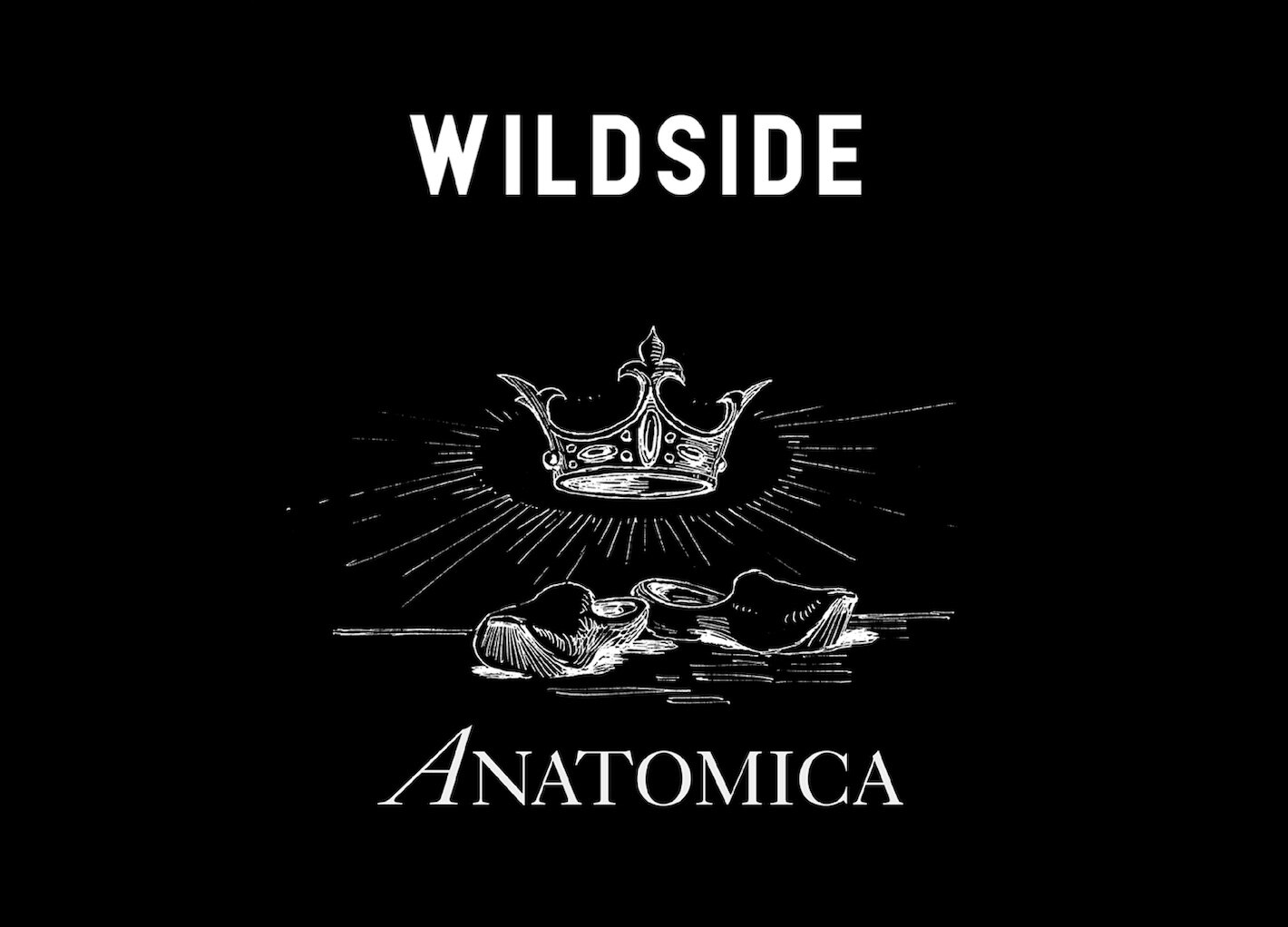 WILDSIDE × ANATOMICA Collaboration Collection