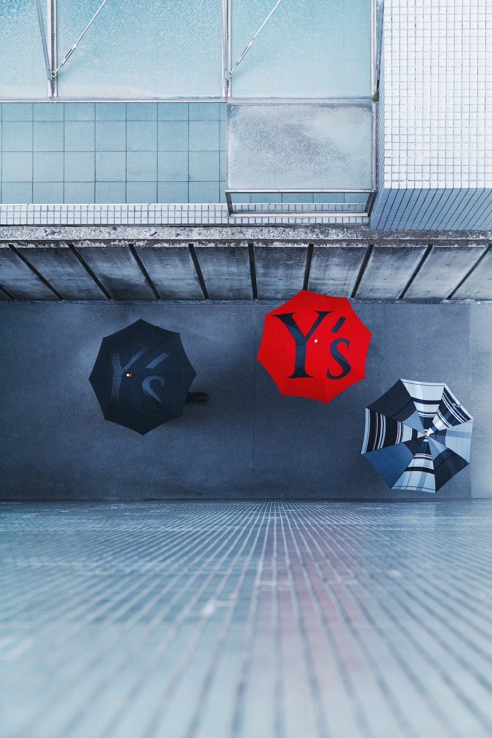Y’s × Traditional Weatherwear